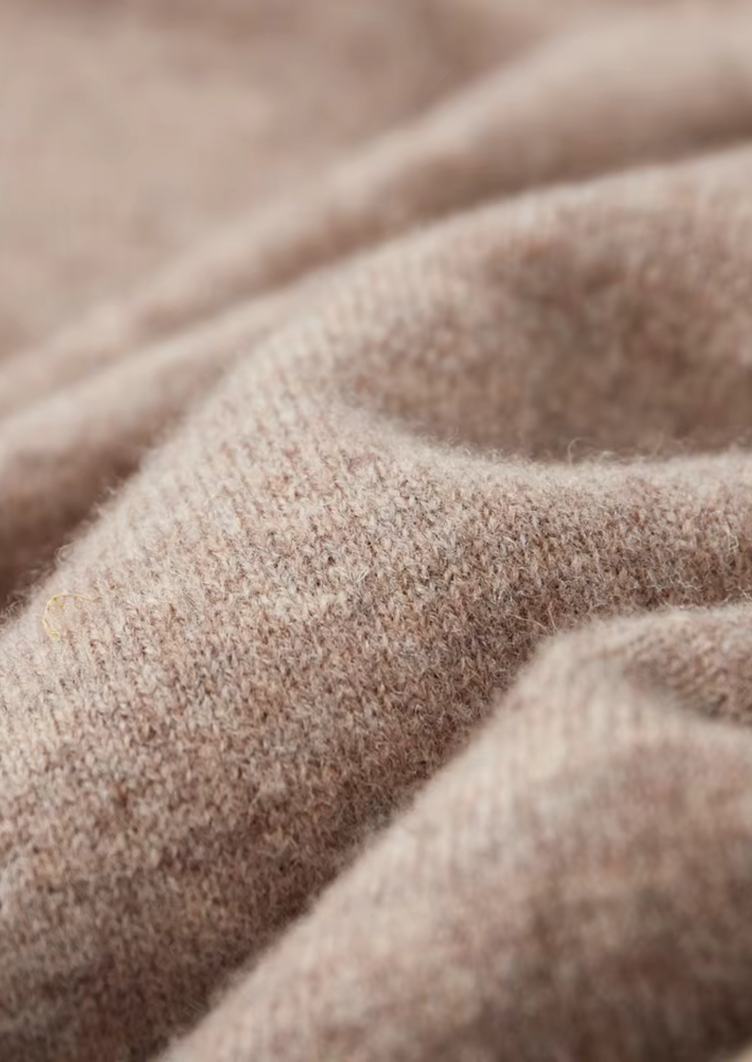 CAVALLO WOOL LEISURE HOODIE
